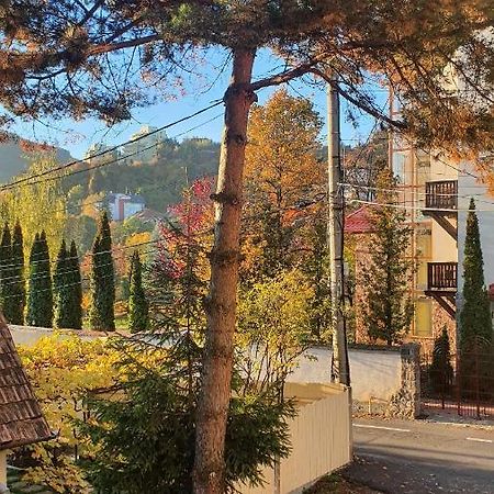 Central Luxury Apartment With City View Brasov Bagian luar foto