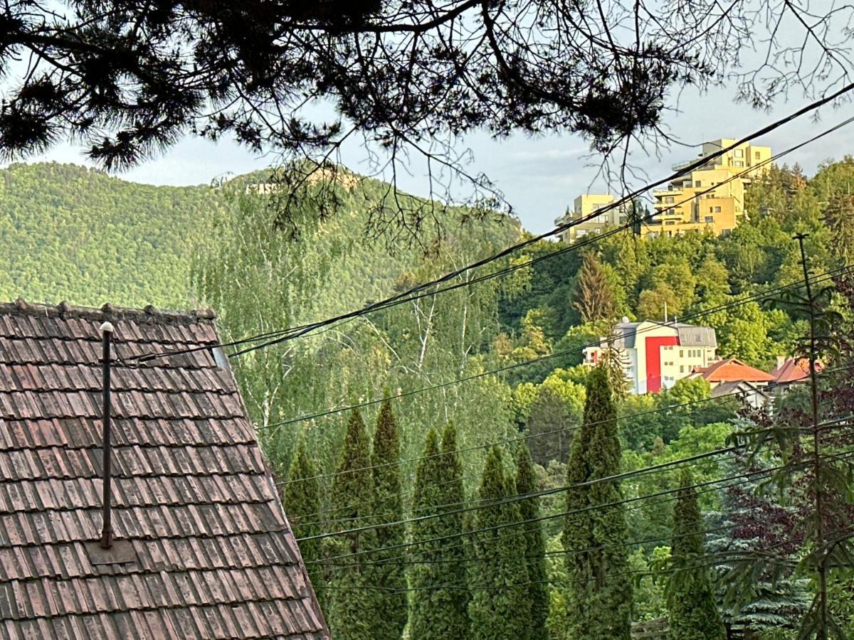 Central Luxury Apartment With City View Brasov Bagian luar foto