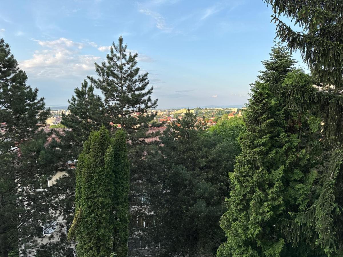 Central Luxury Apartment With City View Brasov Bagian luar foto
